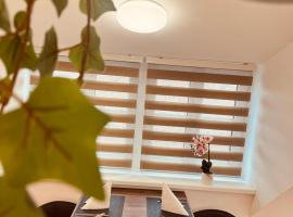 Enns Sleep Apartment，位于恩斯的酒店