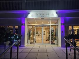 The Fig Tree Hotel，位于尚克林的乡村别墅