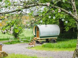 Glamping at The Old Rectory，位于Dún Ard的豪华帐篷营地