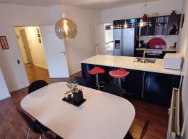 Stylish Apartment On Pedestrian Street Randers，位于兰讷斯的低价酒店