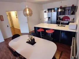 Stylish Apartment On Pedestrian Street Randers