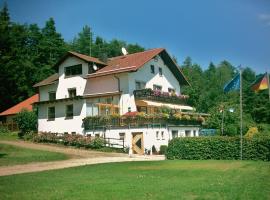 Landhotel Waldesruh，位于林区富尔特的酒店