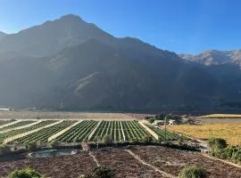 Elqui Valley Avocado Farm