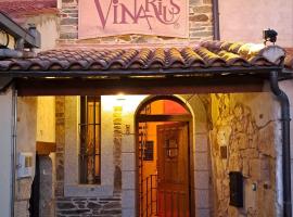 Vinarius, Posada Rural，位于Castellanos de Villiquera的乡间豪华旅馆