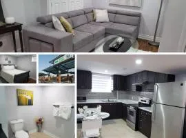 Luxurious 1BR-1BA Apartment Bright Spacious with free parking