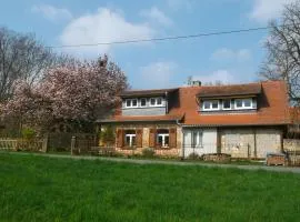 Ferienhaus mit Garten im Odenwald zu vermieten