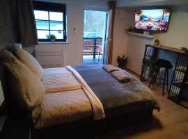 Forest Hill Travel &Work Nettes Apartment mit privatem Eingang Birkenau Mannheim Weinheim Heidelberg