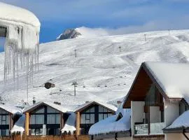 TG Gudauri Apartment