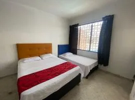 Hostel Flandes tu sitio