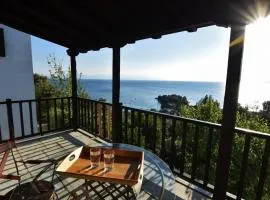 Traditional Luxury House In Pelion erato