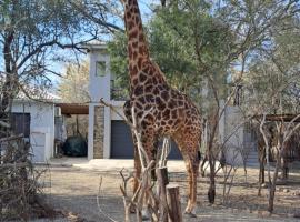 Giraffe Studio @ Kruger，位于玛洛斯帕克的公寓