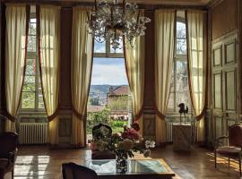 Maison d'hôtes - Hôtel particulier de Jerphanion Cambacérès，位于勒布伊的旅馆