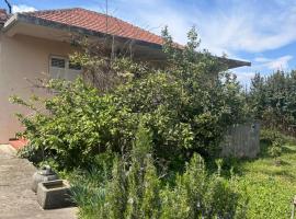 Charming house in Gošići，位于Gošići的别墅