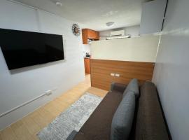 Condo in Pasig - One Oasis Staycation，位于马尼拉的酒店