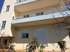 Mino's House Rent Apartments
