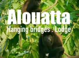 Alouatta Hanging Bridges Adventure and Lodge，位于卡维塔的酒店
