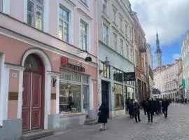 Antique Aparment In Old Town