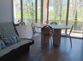 Appartement T2 face au golf，位于Buzet-sur-Tarn的酒店