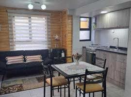 Departamento en Pitrufquén，位于Pitrufquén的酒店