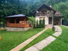 Forest House between Sarajevo & Vlasic