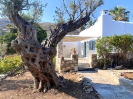 Elitas Lodge: Cosy Cycladic home outside Paroikia，位于帕罗斯岛的别墅