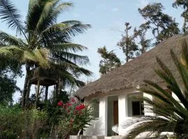 Poco Loco B&B