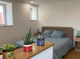 Chambre Mendi pausa，位于Irissarry的酒店