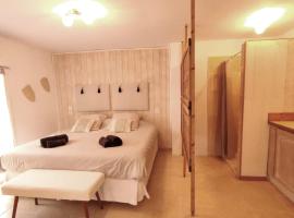 Studio Alpilles avec parking et spa privatif，位于塔拉斯孔的酒店