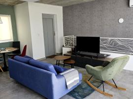Duplex penthouse apartment Gzira，位于埃尔哥茨拉的公寓