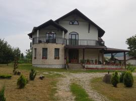 Natura Chalet，位于Gîlgău的旅馆