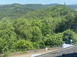 Zur schönen Aussicht，位于特里尔的酒店