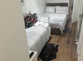 Cosy Studio Apartment, Flat in London，位于奇斯尔赫斯特的酒店