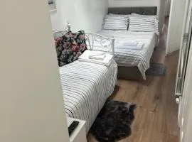 Cosy Studio Apartment, Flat in London