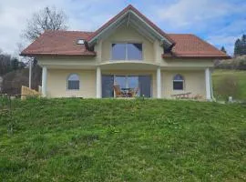 House Tereza near Olimje, Podčetrtek