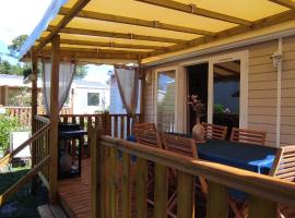 Franck's tiny house Les Viviers，位于雷日卡普费雷的酒店