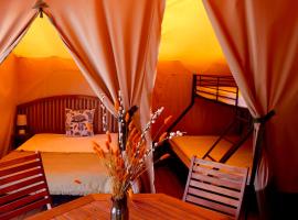 Camping le Dauphin，位于Boyardville的酒店