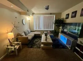 Incredible find near Washington DC - 1 Private room in shared apartment