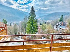 Stone House Sinaia，位于锡纳亚的酒店