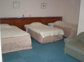 Kikai Daiichi Hotel - Vacation STAY 30393v，位于Akaren的酒店