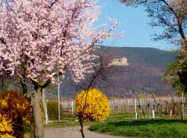 Refugium Maikammer im "Haus Lotter"，位于迈卡梅尔的公寓