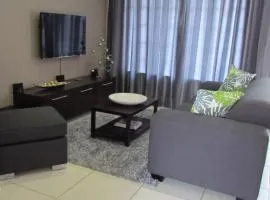 Comfortable Furnished Apartment Wi-fifree Parking