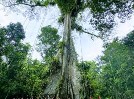 Bromelia Flower Lodge Iquitos，位于伊基托斯的乡村别墅