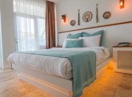 Mavi Cam Hotel Ayvalik，位于Sefaçamlık的酒店