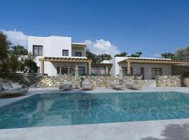 Amazing Villa 6bed in Agios Lazaros Mykonos，位于萨鲁的乡村别墅