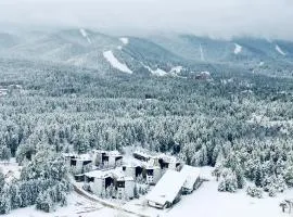 Forest nest - your place to rest!