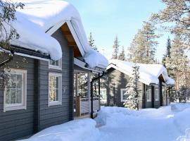 Arctic Home Experience，位于阿卡斯洛姆波罗的别墅