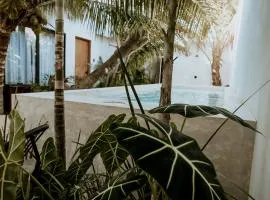 Apartments & Suites MADRE Holbox Self-Check IN