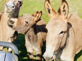 Sandalwood Downs Fabulous Farm Stay TOODYAY，位于Toodyay的带按摩浴缸的酒店