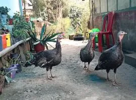 Ninabung homestay
