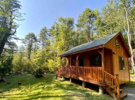 Zen of the Woods Tiny Cabin in Okemo Valley，位于Chester的度假屋